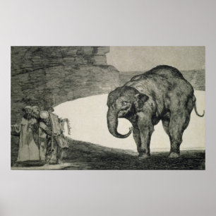 Unsinnigkeit der Tiere Poster