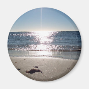 Unsinnigkeit sunrise2 magnet