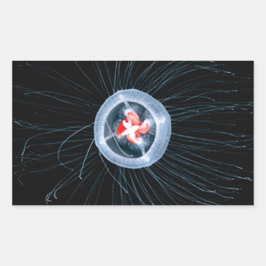 Unsterbliche Rechteckkleber Rechteckiger Aufkleber (Vorderseite)