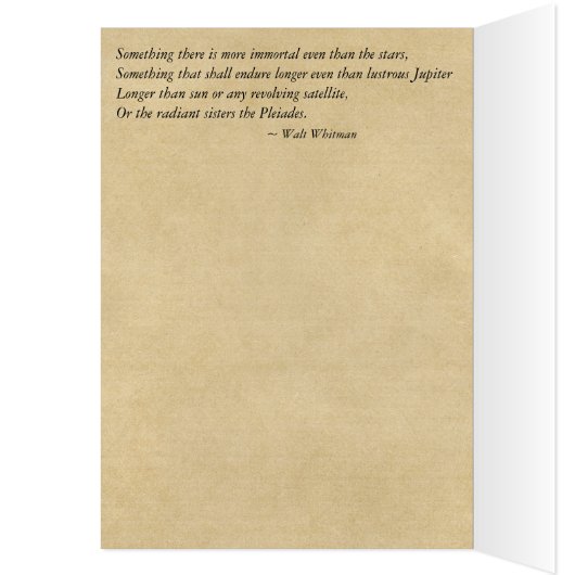 Unsterblicher als die Stern-Zitat-Sorgfalt u. das (Innen (Links))