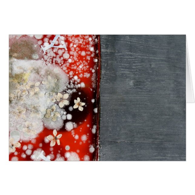 Unsterblichkeit 2 (Vorderseite (Horizontal))