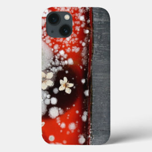 Unsterblichkeit 2 Case-Mate iPhone hülle