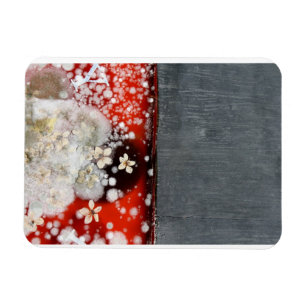 Unsterblichkeit 2 magnet