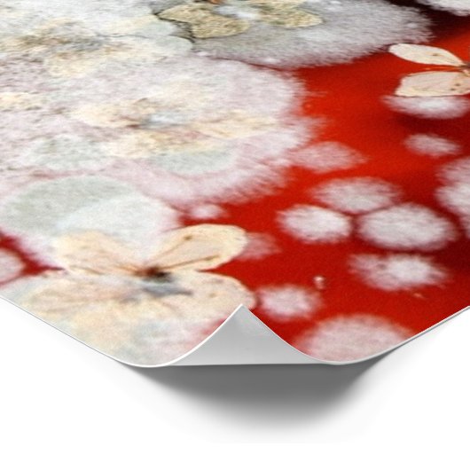 Unsterblichkeit 2 poster (Ecke)