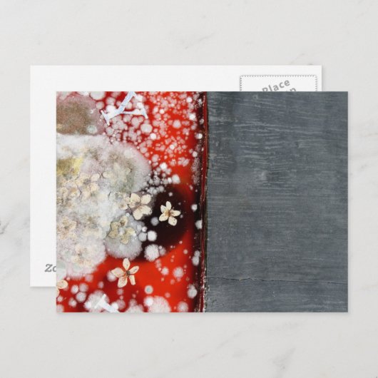 Unsterblichkeit 2 postkarte (Vorne/Hinten)