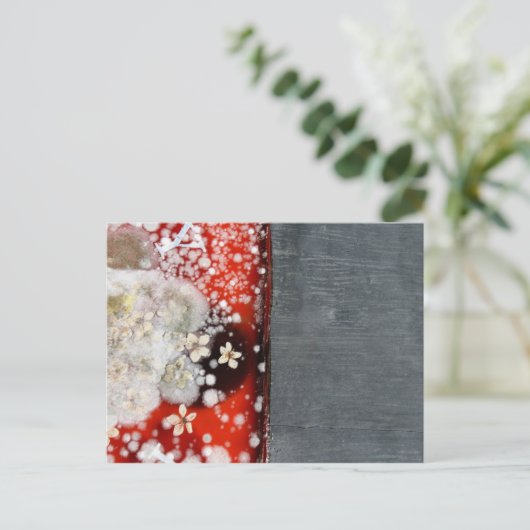 Unsterblichkeit 2 postkarte (Stehend Vorderseite)