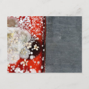 Unsterblichkeit 2 postkarte