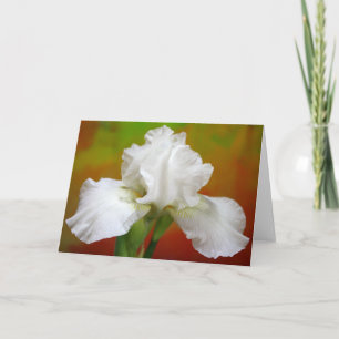 "Unsterblichkeit" Iris Fotografie Feiertagskarte