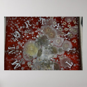 Unsterblichkeit Poster