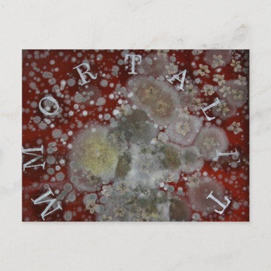 Unsterblichkeit Postkarte (Vorderseite)