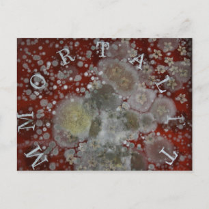 Unsterblichkeit Postkarte