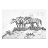 Untamed Fotodruck (Vorne)