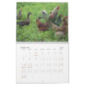 Unten auf dem Bauernhof Kalender (Feb 2027)