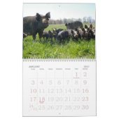 Unten auf dem Bauernhof Kalender (Jan 2027)