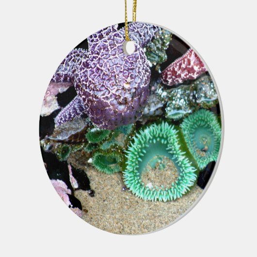 Unten durch die Seeweihnachtsverzierung Keramik Ornament (Links)