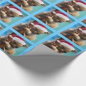 Unten unter Weihnachtshut-Koala Geschenkpapier (Ecke)