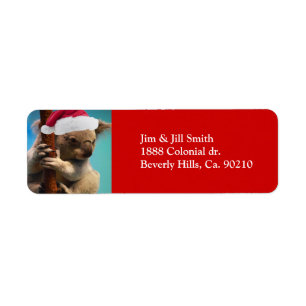 Unten unter Weihnachtskoala