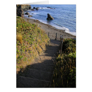 Unten zum Haifisch-Felsen