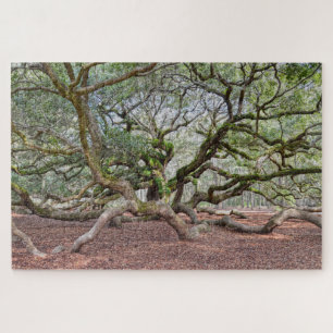Unter Angel Oak, South Carolina Puzzle