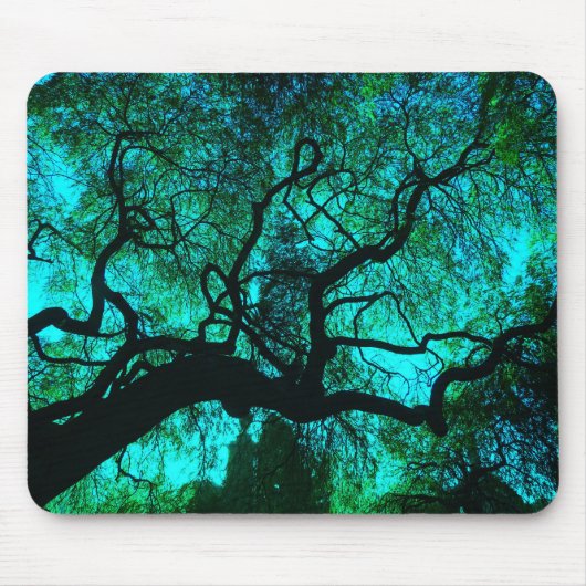 Unter dem Baum in Türkis III Mousepad (Vorne)