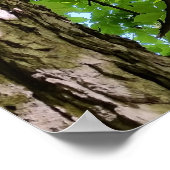 unter dem Baum Poster (Ecke)