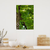 unter dem Baum Poster (Küche)