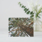 Unter dem Baum Postkarte (Stehend Vorderseite)