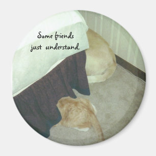 Unter dem Bett Magnet