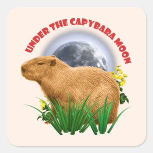 Unter dem Capybara-Mond Lustiges Capybara Quadratischer Aufkleber