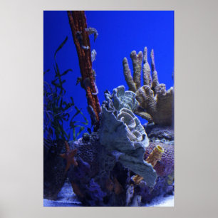 Unter dem Meer Poster