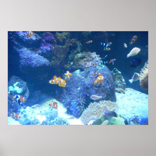 Unter dem Meeresschild Poster (Vorne)