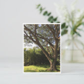 Unter dem Regenbaum Postkarte (Stehend Vorderseite)