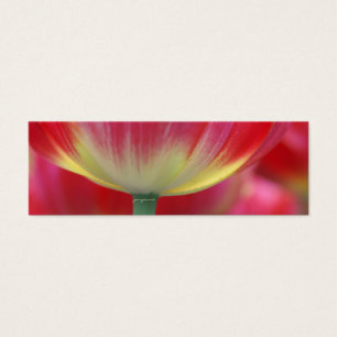 unter dem Rock von Tulpen