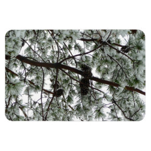 Unter dem schneebedeckten Kiefernbaum Winterfoto Magnet