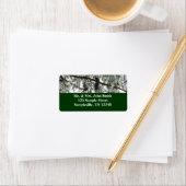 Unter dem schneebedeckten Kiefernwald WinterFoto Adressaufkleber (Insitu)