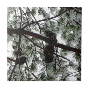 Unter dem schneebedeckten Kiefernwald WinterFoto Fliese