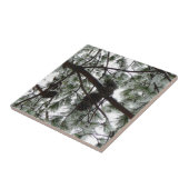 Unter dem schneebedeckten Kiefernwald WinterFoto Fliese (Seite)