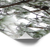 Unter dem schneebedeckten Kiefernwald WinterFoto Fotodruck (Ecke)
