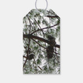 Unter dem schneebedeckten Kiefernwald WinterFoto Geschenkanhänger (Vorderseite)