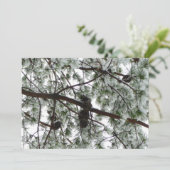 Unter dem schneebedeckten Kiefernwald WinterFoto Karte (Stehend Vorderseite)