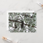 Unter dem schneebedeckten Kiefernwald WinterFoto Karte (Vorderseite/Rückseite Beispiel)