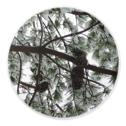 Unter dem schneebedeckten Kiefernwald WinterFoto Keramikknauf (Vorderseite)