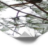 Unter dem schneebedeckten Kiefernwald WinterFoto Poster (Ecke)
