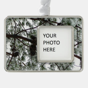Unter dem schneebedeckten Kiefernwald WinterFoto Rahmen-Ornament Silber