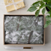 Unter dem schneebedeckten Kiefernwald WinterFoto Seidenpapier (Geschenk)