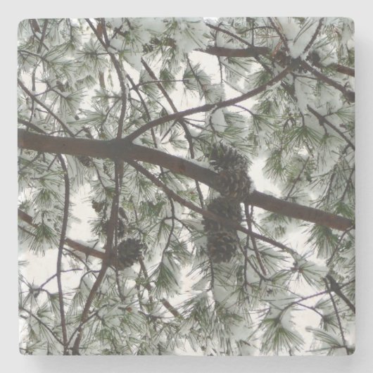 Unter dem schneebedeckten Kiefernwald WinterFoto Steinuntersetzer (Vorderseite)