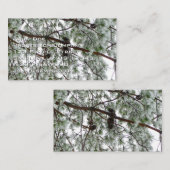 Unter dem schneebedeckten Kiefernwald WinterFoto Visitenkarte (Vorne/Hinten)