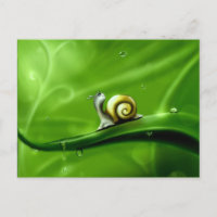 UNTER DEM WETTER (niedliche Schnecke) !