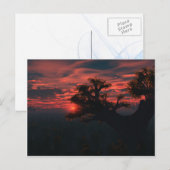 Unter den alten Postkarten (Vorne/Hinten)