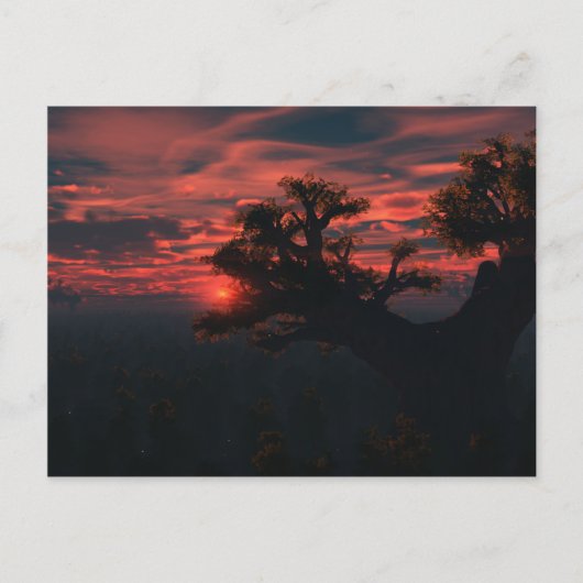 Unter den alten Postkarten (Vorderseite)